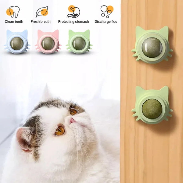 1PCS Catnip Lollipop Cat Treat Wall Design Dental Care Fresh Breath Cat Snacks Energy Ball Stomach Protection Pet Supplies - Image 5