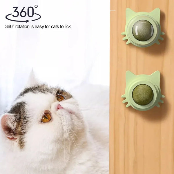 1PCS Catnip Lollipop Cat Treat Wall Design Dental Care Fresh Breath Cat Snacks Energy Ball Stomach Protection Pet Supplies - Image 8