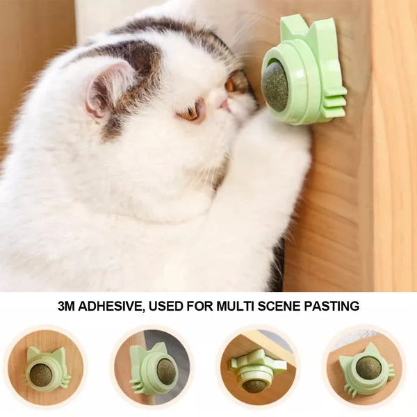 1PCS Catnip Lollipop Cat Treat Wall Design Dental Care Fresh Breath Cat Snacks Energy Ball Stomach Protection Pet Supplies - Image 12