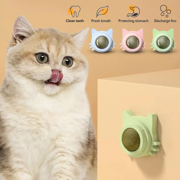 1PCS Catnip Lollipop Cat Treat Wall Design Dental Care Fresh Breath Cat Snacks Energy Ball Stomach Protection Pet Supplies - Image 17