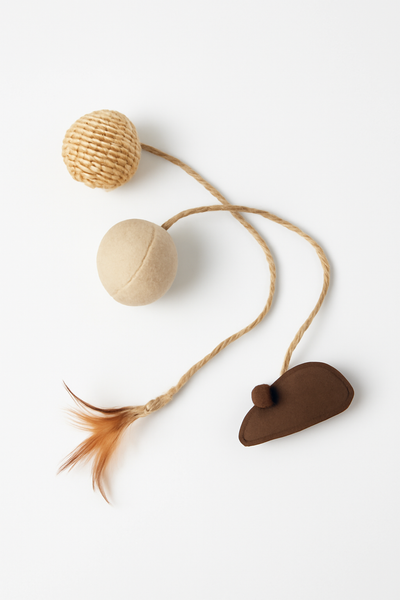 Cat Toys