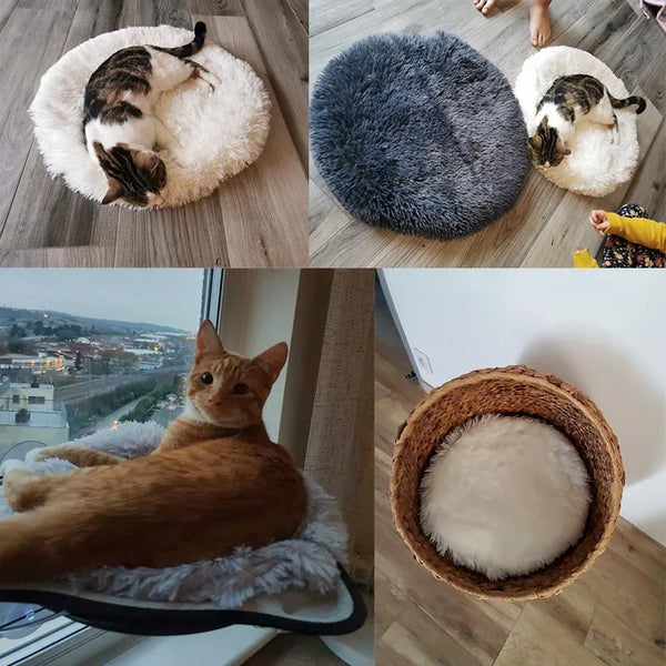 Plush Cat Bed Mats Round Pet Bed for Cats Small Dogs Soft Fleece Pet Sleeping Mat Kitten Puppy Nest Pet Cushion Cat Accessories - Image 7
