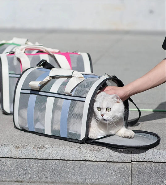 Pawsh Comfort™ Portable Foldable Pet Carrying Bag – Mesh Handbag for Small to Medium Cats & Dogs - Image 10