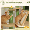 Pawsh Comfort™ Adjustable Floor-to-Ceiling Wooden Cat Tree – Spacious Condo, Scratching Posts, Hammock, Tunnel & Cat Toys - Image 14