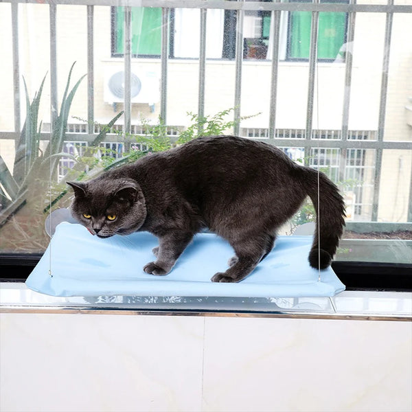 New Arrival Four Seasons Pet Bed Suction Cup Cat Hammock Window Sill Hanging Cat Hammock Removable and Washable Cat Bed - Image 6
