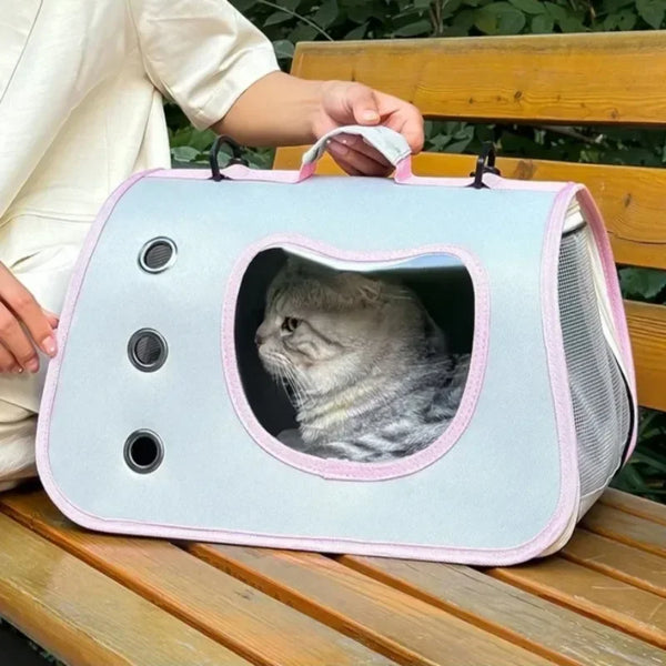 Pawsh Comfort™ Portable Foldable Breathable Mesh Pet Carrier Bag – Soft-Sided Handheld Travel Backpack for Small Cats & Dogs - Image 15