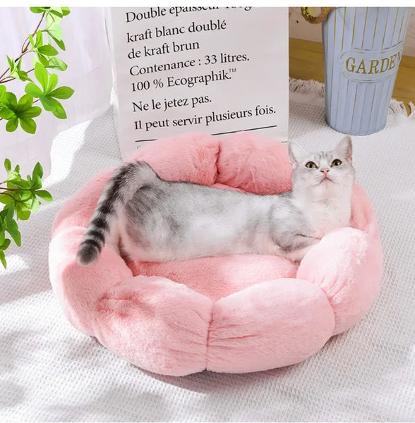 40CM Flower Soft Cat Bed Comfortable Sleep Pet Bed Cat Sleeping Mat Long Plush Dogs Basket Cushion Cat Mat Animals Sleeping Sofa - Image 22