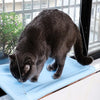 New Arrival Four Seasons Pet Bed Suction Cup Cat Hammock Window Sill Hanging Cat Hammock Removable and Washable Cat Bed - Image 3