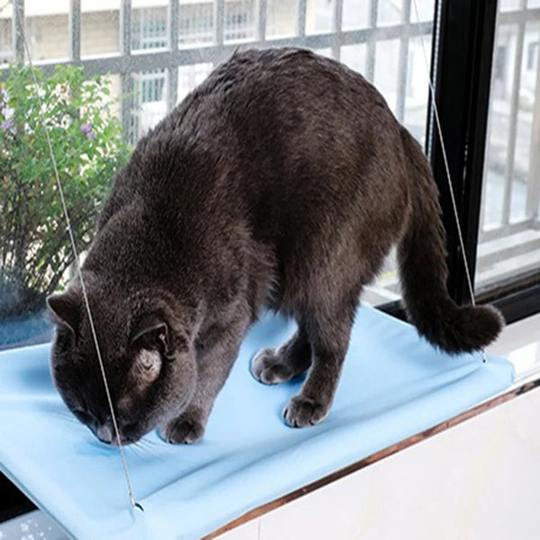 New Arrival Four Seasons Pet Bed Suction Cup Cat Hammock Window Sill Hanging Cat Hammock Removable and Washable Cat Bed - Image 3