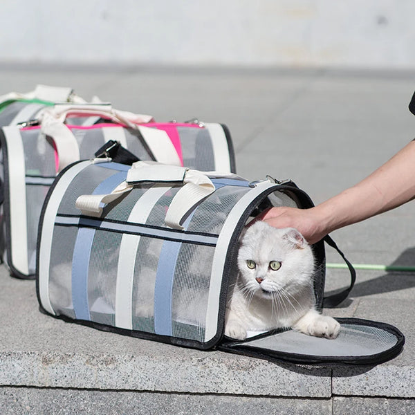 Pawsh Comfort™ Portable Foldable Pet Carrying Bag – Mesh Handbag for Small to Medium Cats & Dogs - Image 3