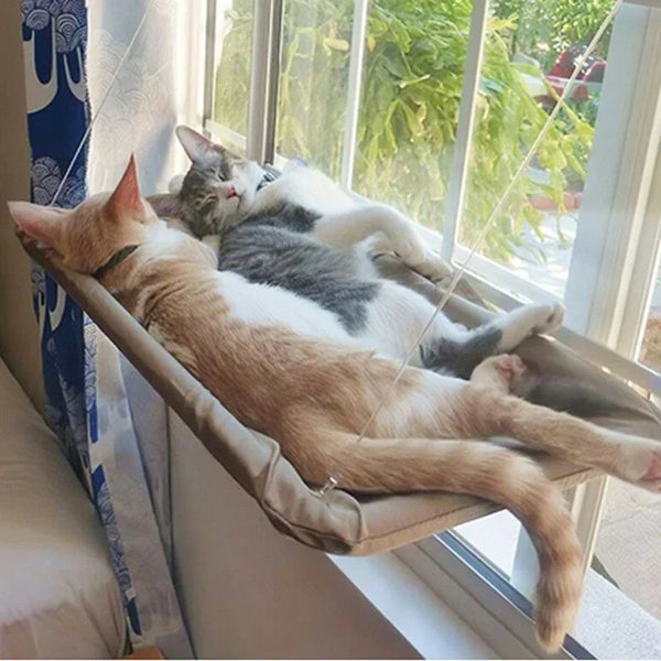 New Cat Hammock Window Pet Aerial Hanging Cat Bed Cats Ouse Kitten Climbing Frame Sunny Seat Nest Bearing 20kg Accessoriescanvas - Image 2