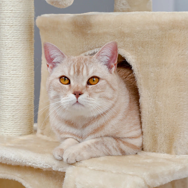 Pawsh Comfort™ Wooden Cat Tower – Double Condos, Spacious Perch, Fully Wrapped Sisal Scratching Posts & Replaceable Dangling Balls - Image 32