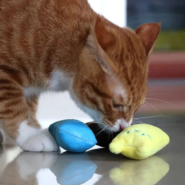 1PCS Pet Cat Toys Plush Sound Rattling Paper Cat Chewing Cute Toys Multicolor Puzzle Bite Resistant Teething Pet Interactive Toy - Image 3