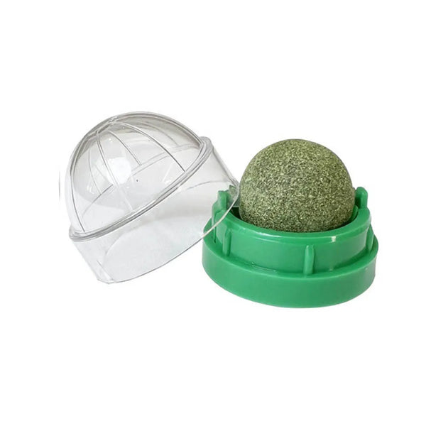 The Catnip Cat Wall Stick-on Ball Toy Scratchers Treats Healthy Natural Removes Balls to Promote Digestion Cat Grass Snack - Image 6