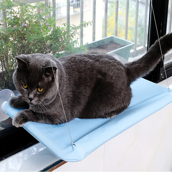New Arrival Four Seasons Pet Bed Suction Cup Cat Hammock Window Sill Hanging Cat Hammock Removable and Washable Cat Bed - Image 4