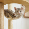Pawsh Comfort™ Multi-Level Indoor Wood Cat Tree – Spacious Condo, Scratching Posts, Hammock, Top Perch & Cat Toys - Image 5