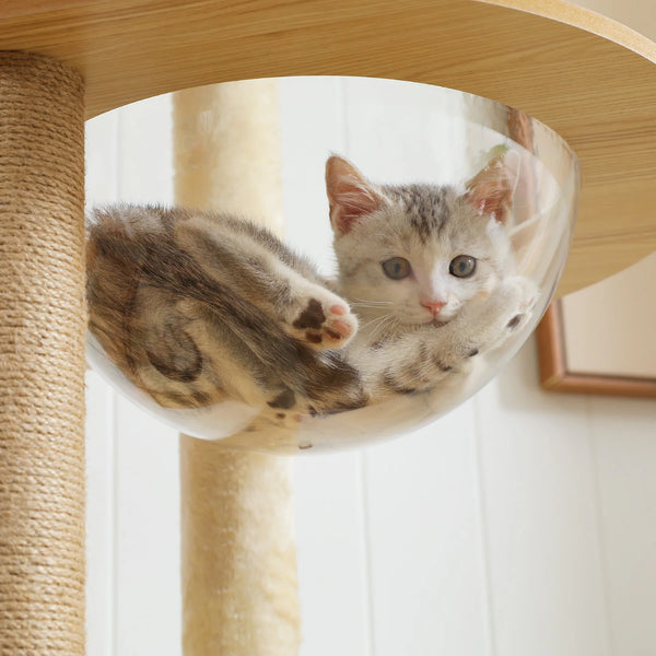 Pawsh Comfort™ Multi-Level Indoor Wood Cat Tree – Spacious Condo, Scratching Posts, Hammock, Top Perch & Cat Toys - Image 5