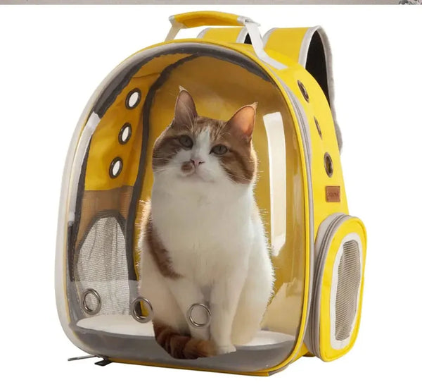 Pawsh Comfort™ Portable Transparent Space Capsule Pet Backpack – Soft-Sided Travel Bag for Cats & Dogs - Image 9