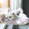 New Cat Hammock Window Pet Aerial Hanging Cat Bed Cats Ouse Kitten Climbing Frame Sunny Seat Nest Bearing 20kg Accessoriescanvas - Image 3