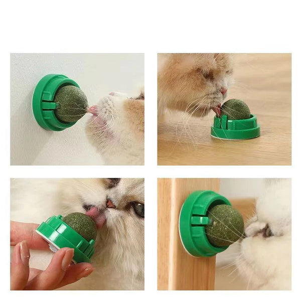 The Catnip Cat Wall Stick-on Ball Toy Scratchers Treats Healthy Natural Removes Balls to Promote Digestion Cat Grass Snack - Image 4