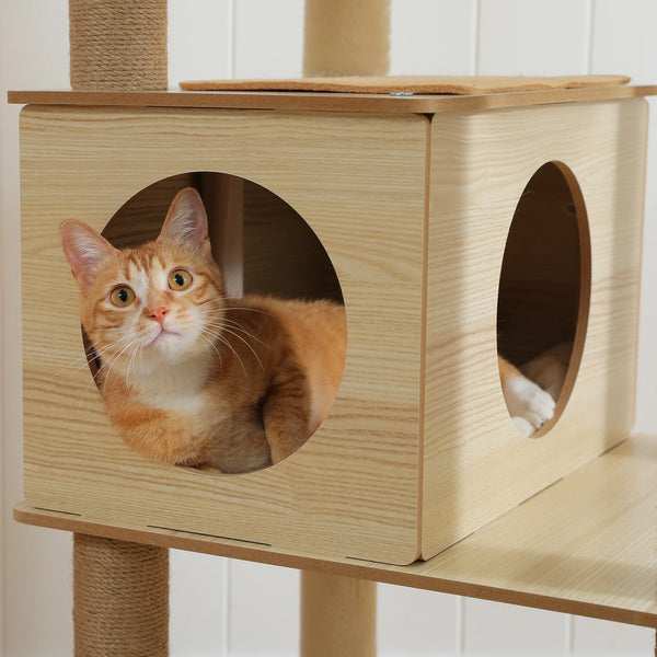 Pawsh Comfort™ Multi-Level Indoor Wood Cat Tree – Spacious Condo, Scratching Posts, Hammock, Top Perch & Cat Toys - Image 9