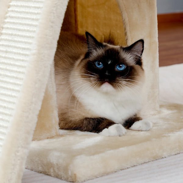 Pawsh Comfort™ Wooden Cat Tower – Double Condos, Spacious Perch, Fully Wrapped Sisal Scratching Posts & Replaceable Dangling Balls - Image 36