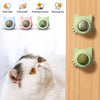 1PCS Catnip Lollipop Cat Treat Wall Design Dental Care Fresh Breath Cat Snacks Energy Ball Stomach Protection Pet Supplies - Image 16