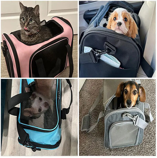 Pawsh Comfort™ Breathable Mesh Pet Carrier Bag – Outdoor Travel Tent for Small Dogs & Cats - Image 19