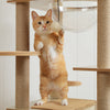 Pawsh Comfort™ Multi-Level Indoor Wood Cat Tree – Spacious Condo, Scratching Posts, Hammock, Top Perch & Cat Toys - Image 10
