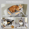 Pawsh Comfort™ Multi-Level Indoor Cat Tree – Tall Tower with Scratching Posts, Hammock, Large Perches, Hanging Balls & Spacious Condo House - Image 17
