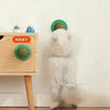 The Catnip Cat Wall Stick-on Ball Toy Scratchers Treats Healthy Natural Removes Balls to Promote Digestion Cat Grass Snack - Image 3