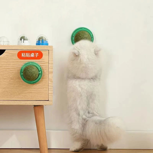 The Catnip Cat Wall Stick-on Ball Toy Scratchers Treats Healthy Natural Removes Balls to Promote Digestion Cat Grass Snack - Image 3