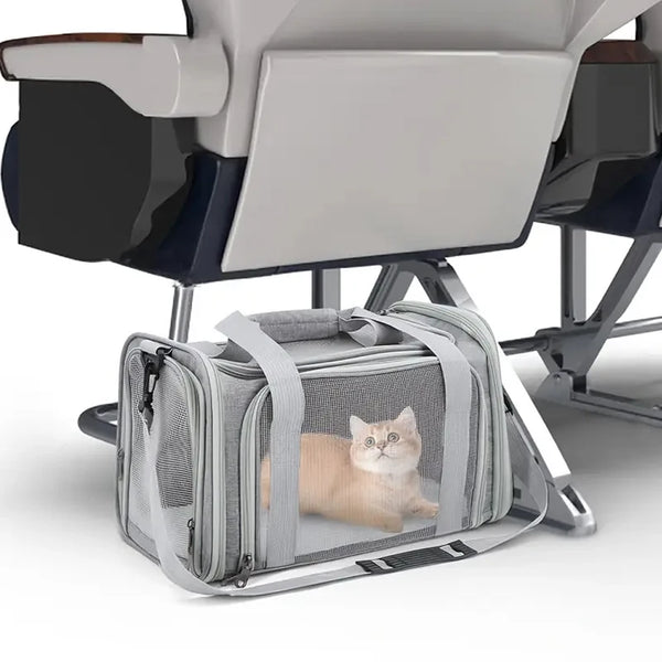 Pawsh Comfort™ Breathable Mesh Pet Carrier Bag – Outdoor Travel Tent for Small Dogs & Cats - Image 5