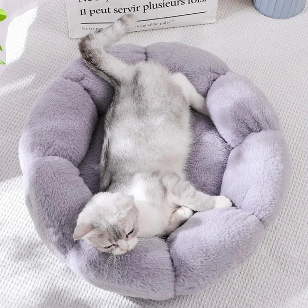 40CM Flower Soft Cat Bed Comfortable Sleep Pet Bed Cat Sleeping Mat Long Plush Dogs Basket Cushion Cat Mat Animals Sleeping Sofa - Image 3