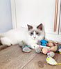 3/200pcs Rattle Cat Mouse Toys Also Prefilled Catnip Faux Fur Cat Mice Toys Interactive Cat Game Catnip Toys for Indoor Cats toy - Image 4
