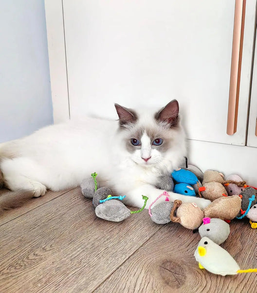 3/200pcs Rattle Cat Mouse Toys Also Prefilled Catnip Faux Fur Cat Mice Toys Interactive Cat Game Catnip Toys for Indoor Cats toy - Image 4