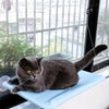 New Arrival Four Seasons Pet Bed Suction Cup Cat Hammock Window Sill Hanging Cat Hammock Removable and Washable Cat Bed - Image 2