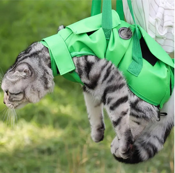 Pawsh Comfort™ Multifunctional Breathable Double-Shoulder Cat Bag – Portable, Anti-Scratch, Foldable & Secure Pet Carrier - Image 19