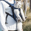 Pawsh Comfort™ Upgraded Adjustable Pet Backpack – Portable Outdoor Carrying Bag for Cats & Dogs, Ideal for Travel, Camping & Hiking - Image 20