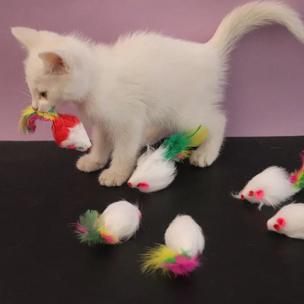 1pcs Cat Toys Interactive Cute Soft Fleece False Mouse Colorful Feather Funny Playing Training Toy for Cats Kitten Pet Supplies - Image 1