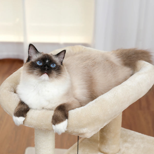 Pawsh Comfort™ Wooden Cat Tower – Double Condos, Spacious Perch, Fully Wrapped Sisal Scratching Posts & Replaceable Dangling Balls - Image 33