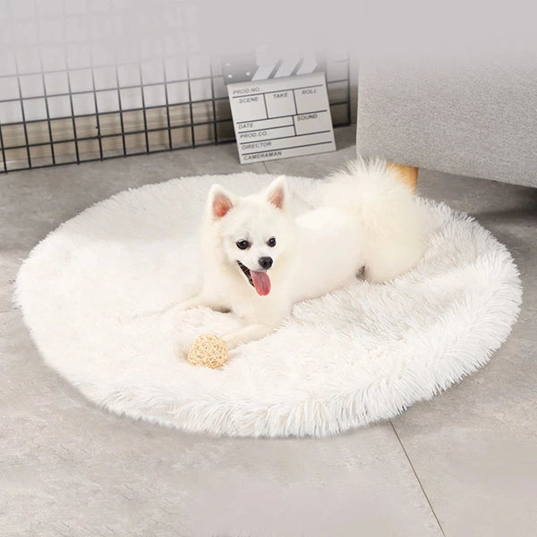 Plush Cat Bed Mats Round Pet Bed for Cats Small Dogs Soft Fleece Pet Sleeping Mat Kitten Puppy Nest Pet Cushion Cat Accessories - Image 4