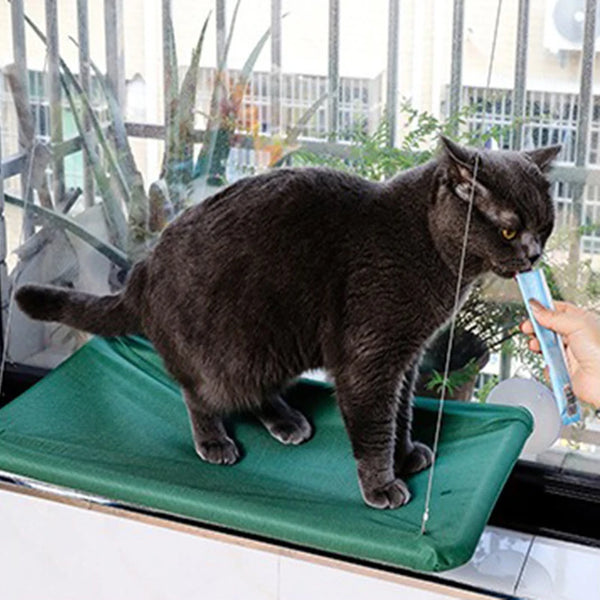 New Arrival Four Seasons Pet Bed Suction Cup Cat Hammock Window Sill Hanging Cat Hammock Removable and Washable Cat Bed - Image 7