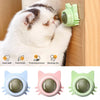 1PCS Catnip Lollipop Cat Treat Wall Design Dental Care Fresh Breath Cat Snacks Energy Ball Stomach Protection Pet Supplies - Image 10