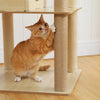 Pawsh Comfort™ Multi-Level Indoor Wood Cat Tree – Spacious Condo, Scratching Posts, Hammock, Top Perch & Cat Toys - Image 6