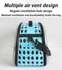 Pawsh Comfort™ Portable Transparent Capsule Cat Carrier Shoulder Bag – Breathable Outdoor Travel Handbag for Puppies & Kittens - Image 10