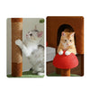 Pawsh Comfort™ Adjustable Floor-to-Ceiling Cat Tree (230–252cm) – Tall Cat Tower with Condo, Hammock, Hanging Ball & 5 Scratching Posts - Image 12