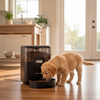 Pawsh Market™ 2L Automatic Cat & Dog Feeder – USB Smart Pet Food Dispenser with Timer - Image 4