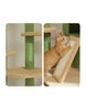 Pawsh Comfort™ Adjustable Floor-to-Ceiling Cactus Cat Tree – Tall Indoor Cat Tower with Condo, Hammock & Scratching Posts - Image 6