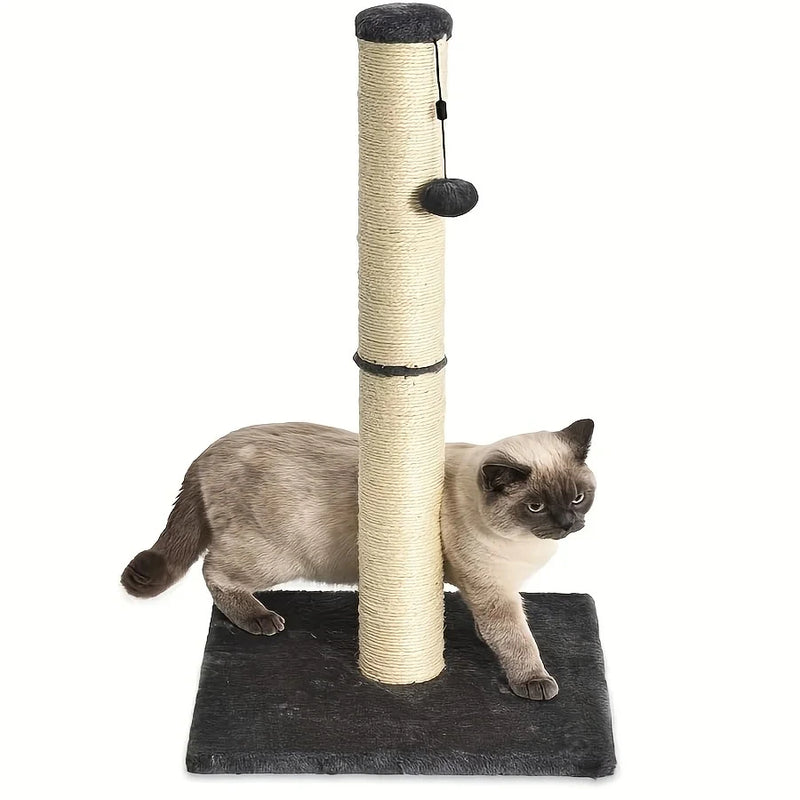 Cat climbing a scratching post on a white background